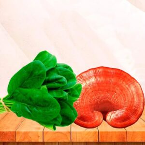 Beneficios del Ganoderma 
