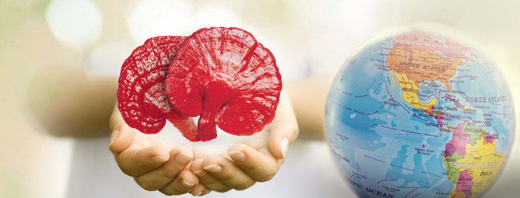 BENEFICIOS DEL GANODERMA BENEFICIOS DEL GANODERMA