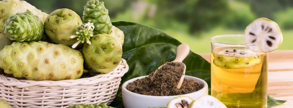 ZUMO DE NONI: QUÉ ES Y CUÁLES SON SUS PROPIEDADES -MORINZYME Y MORINZHI (MORINDA CITRIFOLIA)